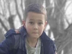 Supporting image for story: Thousands sign petition calling for Solihull lake tragedy boy to be given George Cross award