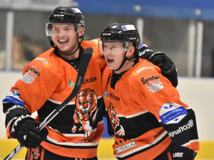 Supporting image for story: Corey Goodison back to boost Telford Tigers