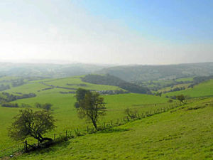 Supporting image for story: Mid Wales mega dairy a threat to historic footpath