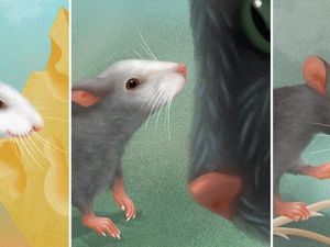 Supporting image for story: Say cheese! Mice have facial expressions to reflect emotions, scientists say