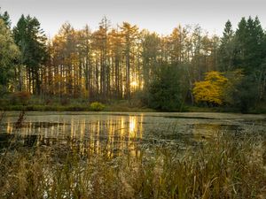 Supporting image for story: National Trust plans 250,000 hectares of nature-rich landscapes over 10 years