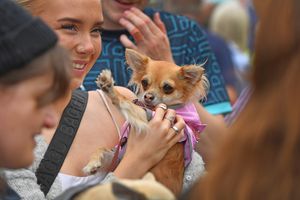 Paws up if you love the Severn Hospice Dragon Boat Festival!