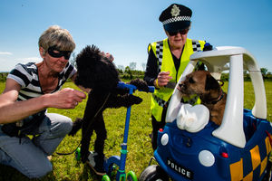 Supporting image for story