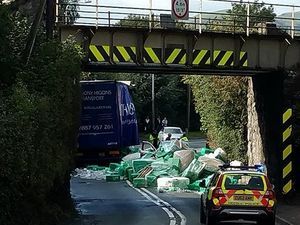Supporting image for story: A483 closed in Newtown after lorry load falls onto car
