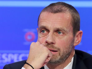 Supporting image for story: Wolves Trust joins fight on Champions League plans