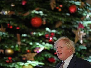 Supporting image for story: Christmas party numbers should not be limited, says No 10