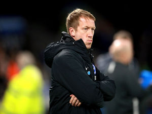 Supporting image for story: Brighton 'up for the fight' against Wolves