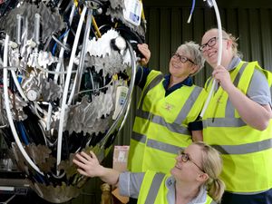 Supporting image for story: Big hearted nurses get involved in sculpture