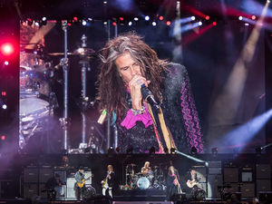 Supporting image for story: Fans enjoy year of vintage live shows: Top gigs of 2017