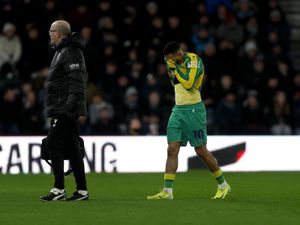 Supporting image for story: West Brom set to receive survival boost as Karlan Grant's injury return mapped out