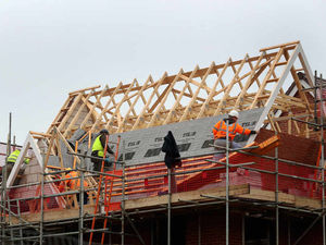 Supporting image for story: Democratic representation failing as developers rule
