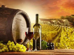 Supporting image for story: Top vineyards in the Midlands and Shropshire