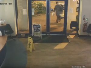 Supporting image for story: WATCH: CCTV appeal after cat dumped outside Walsall vets