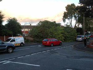Supporting image for story: Lucky escape as 80ft tree falls down in busy street