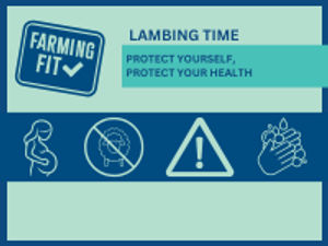 Supporting image for story: Powys farmers urged to take precautions during lambing season to reduce health risks