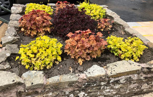 With golfers not being allowed on the course, organisers had the chance to tend to the gardens, create new tee markers, repaint the Half Way House and create new steps