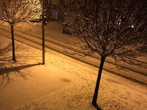 Supporting image for story