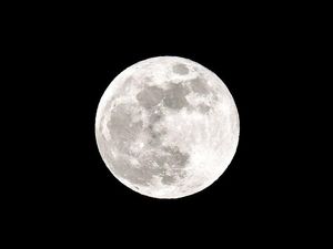 Supporting image for story: The Moon is getting its first 4G mobile network next year