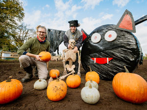 Supporting image for story: Market Drayton farm's spooky fun this half-term