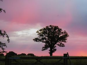 Supporting image for story: Thunder and lightning recorded in parts of Shropshire as Met Office forecasts hot and humid Monday