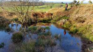 The landscape features grassland and pools
