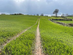 The area surrounding the estate features long stretches of fresh, green fields. Credit: Alex Daly-Smith