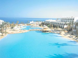 Supporting image for story: Peter Rhodes on a climate challenge, a growing trend and a soldier's reflection on warfare