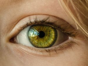 Supporting image for story: See and Hear Shropshire show for those with sensory impairments