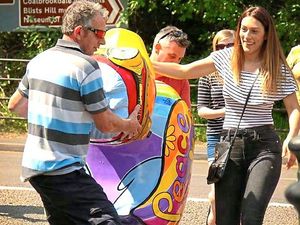 Supporting image for story: Ironbridge duck vandals info reward is increased to £500