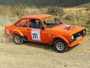 Supporting image for story: Home success in Woodpecker Stages Rally