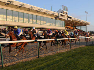 Supporting image for story: Turnover and profits fall at Wolverhampton Racecourse
