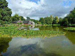 Supporting image for story: Have a happy holiday at home