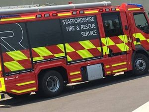 Supporting image for story: Fire service rescues cow trapped in water