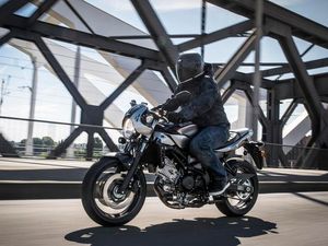 Supporting image for story: Motorcyclists warned ahead of battery law change