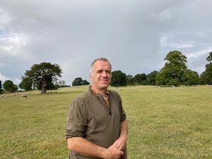 Supporting image for story: Stewards sought for Newport show