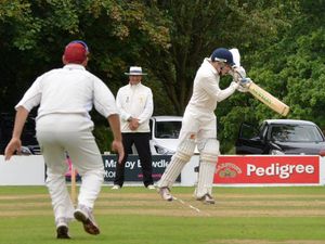 Supporting image for story: Wolves earn first success