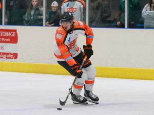 Supporting image for story: Telford Tigers lose ground in NIHL after shipping six in Hull Seahawks defeat