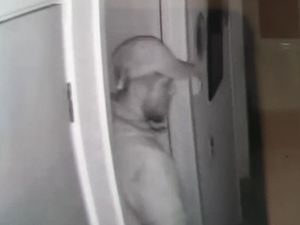 Supporting image for story: Image released after repeat burglaries at home of 98-year-old Rugeley woman
