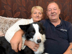 Supporting image for story: Shropshire couple glad to be back home after Sharm terror alert