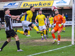 Supporting image for story: Shifnal Town bid to end losing run, while Whitchurch Alport hope to continue good form - non-league previews