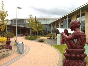 Supporting image for story: Class at Telford school told to stay home after child tests positive for coronavirus