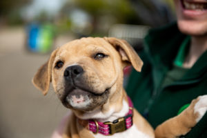 Apply to take part in ‘The most heart-warming show on TV’