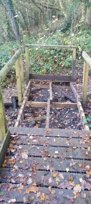 The ramp with boards missing