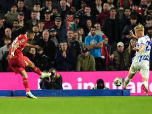 Supporting image for story: Cody Gakpo scores twice as Liverpool hold on to beat Brighton