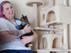 Supporting image for story: Ludlow volunteer and animal lover taking on skydive for charity