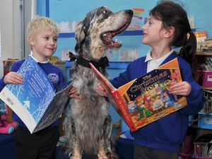 Supporting image for story: Woody booked for Telford primary school reading event
