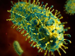 Supporting image for story: Person dies in UK after becoming infected with rabies while on holiday