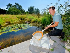 Supporting image for story: An oasis of wildlife created at Ashwood Nurseries in Kingswinford