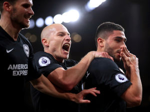 Supporting image for story: Wolves v Brighton: Inside track on the Seagulls