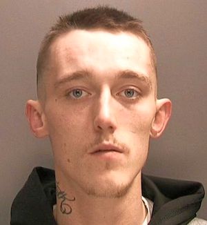 Supporting image for story